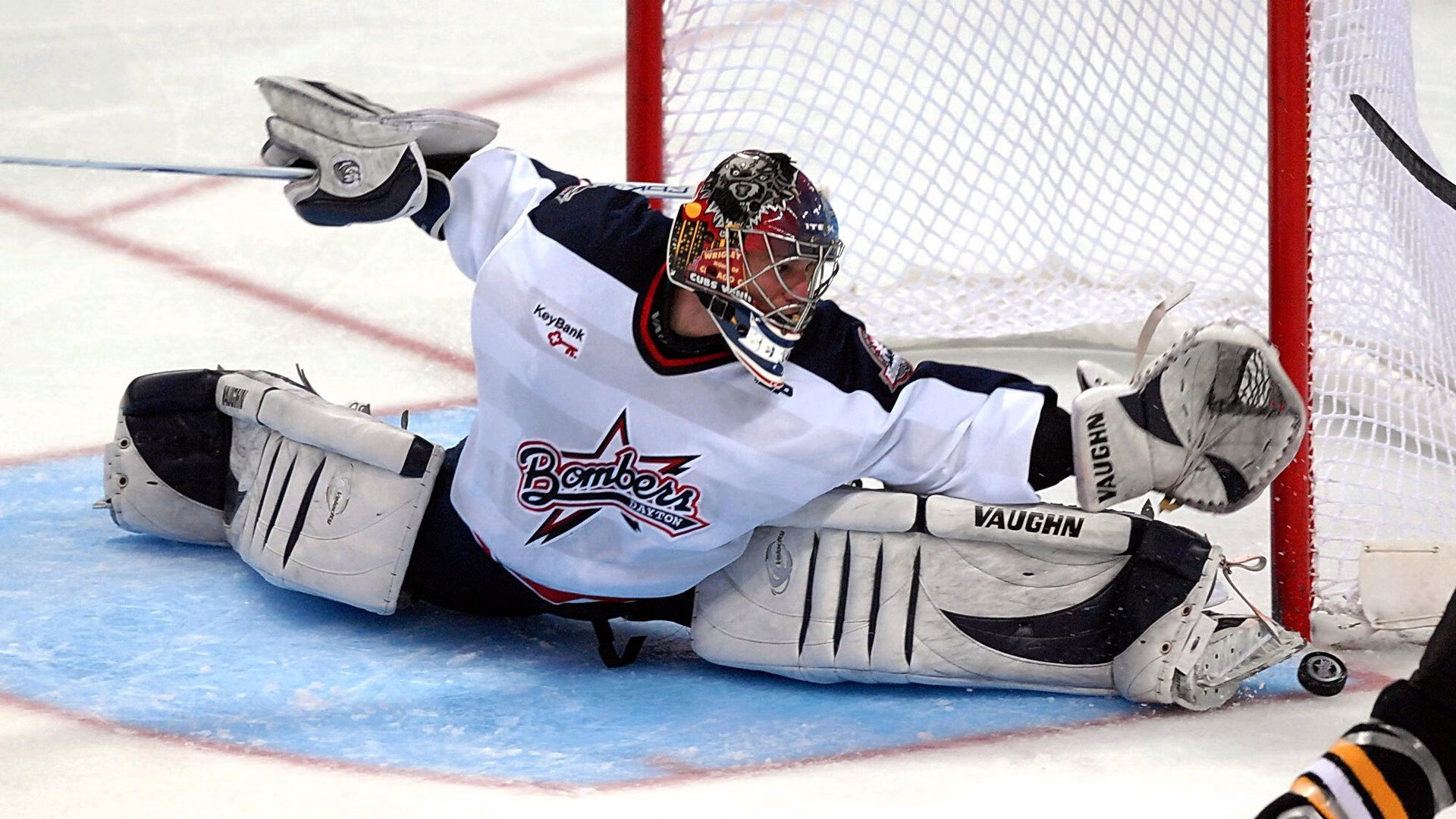 爱游戏平台体验-辽宁飞豹战术创新成为球队成功关键，辽宁飞豹吧 百度贴吧